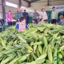 동부농협낙서지점 이미지