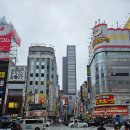 신주꾸 | 호텔 그레이스리 신주쿠 후기｜신주쿠역 가성비 숙소, 고질라 호텔 객실·위치