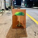 영화동 골방 군산 뮤직바 가볼 만한 곳 혼술집