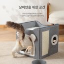 고양이 행복 쉼터 이미지