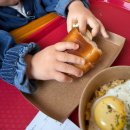 에코팜 | 충북 진천 에코팜 체험기 — 아이와 놀기 좋은 농장, 주차, 입장, 음식 후기 전격 공개