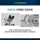 연세플란트치과의원 네이버블로그