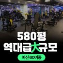 청담 엑티브짐 네이버블로그