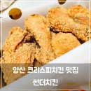 양산 치킨맛집 추천! 썬더치킨 양산중부점, 바삭한 크리스피 치킨과 닭똥집 솔직후기