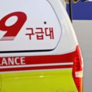 강서구-36 이미지