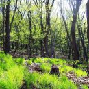 삼화농원 이미지