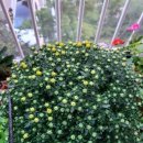 사적인아름다움 지유의원 이미지