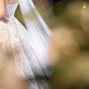 대망 | W10. 대망의 가우디 본식 후기(feat. 아이테오, 라노비아)