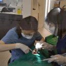 수미치과의원 이미지