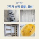 농부사랑 | 7주 차 일상 - 다양한 소비생활, 도시농부, 직장인 도시락, 서울사랑상품권(광역)구매후기