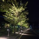 [충주 수안보온천] 방문 후기, 장거리 운전 후 쉬어가기 좋은 곳