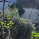 진동종합복지관 | 창원 마산 진동 말차라떼가 유명한 &#34;유토커피&#34; 후기 :)