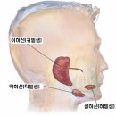 ABC 영어 동화나라 이미지