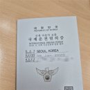 1] 호주 브리즈번, 골드코스트 10박 11일 가족여행...공항 렌터카, 국제 면허증, 미트파이 (Yatala Pies)