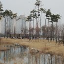 송도 해돋이공원 이미지