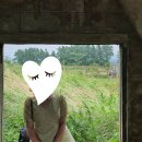 더 테쉬폰 네이버블로그