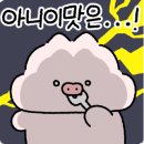 임가네명태명가 이미지