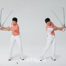 아이언피쉬 이미지