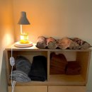 박창수한의원 이미지