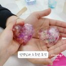 율포초등학교 이미지