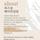 메르시조이