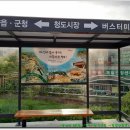 청도군청 앞 이미지