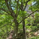 소공원주차장 화장실 | 웅장한 설악산과 동해의 수평선을 함께 볼 수 있는 울산바위 산행후기 입니다.