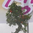 원남면 주민자치센터 이미지