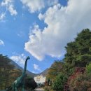 한국자연사박물관 | 공주/ 계룡산 근처 공룡박물관 &#34;한국자연사박물관&#34; 동물, 미라, 단풍구경까지
