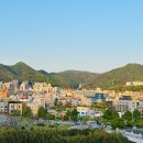 무등산국밥 | 〘광주 ➀편〙 천천히 걷기 좋은 무등산⛰️과 맥문동 숲길🌿