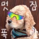 펀키즈유치원 이미지