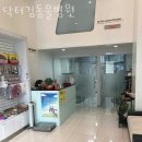 김동물병원 이미지