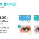 디비몰