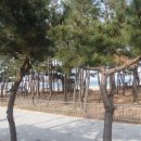 장사솔밭펜션 이미지