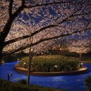 김제체육관 | 🩷 김제 꽃빛드리 축제 2026 완전 정복 🌸주차까지