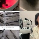 농업기술원 맞은편 이미지