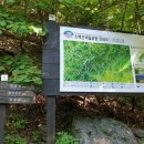 정봉인 | 소백산 연화봉 희방사코스/소백산 철쭉/소백산 희방폭포/단양 여행