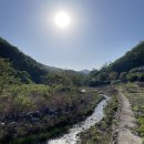 포레스트 펜션 | [내돈내산|경주 애견동반 숙소] 포레스트99 펜션 솔직 후기 장단점