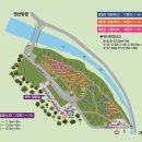 회동솔향캠핑장 이미지