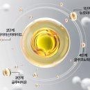아마메르 미백앰플 내돈내산 후기와 효능(아마메르 4단계 미백앰플)