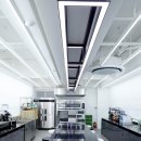 펫인푸드 이미지