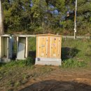 덕우낚시터 이미지