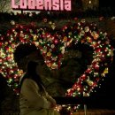 다음 | 🎄 여주 루덴시아 후기｜크리스마스 다음 날 방문 솔직 후기