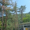 숲속캠핑장 이미지