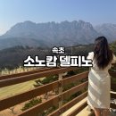속초 소노캄 델피노 c동 울산바위뷰 룸 추천, 인피니티풀, 더엠브로시아 카페 후기