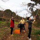 영암군청 이미지