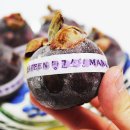 주식회사 지유팜 이미지