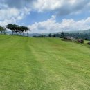 Rainbow Hills 이미지