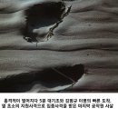북한 공작원 3명 잡은 전설의 일병 이미지