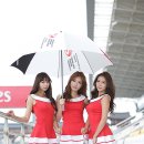 신세하 카카오 검색결과